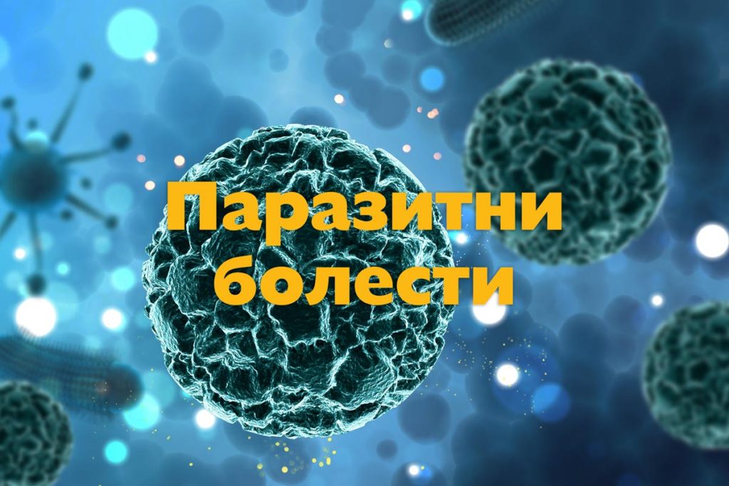 Как да предпазим децата си от паразитни болести?