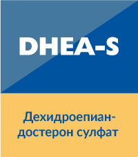 DHEA-S