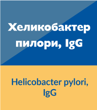 Хеликобактер пилори IgG
