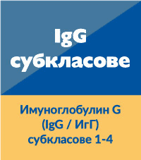 Имуноглобулин G (IgG / ИгГ), субкласове 1-4