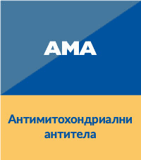 АМА: Антимитохондриални антитела