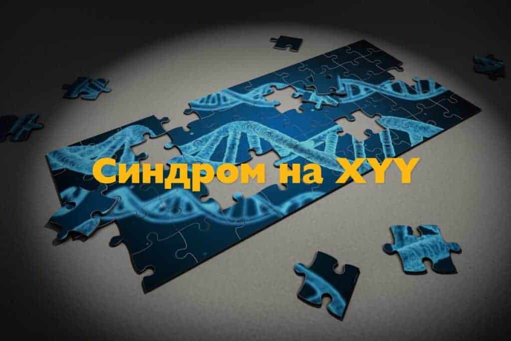 Генетика • Медицински блог • Лаборатория SYNEVO