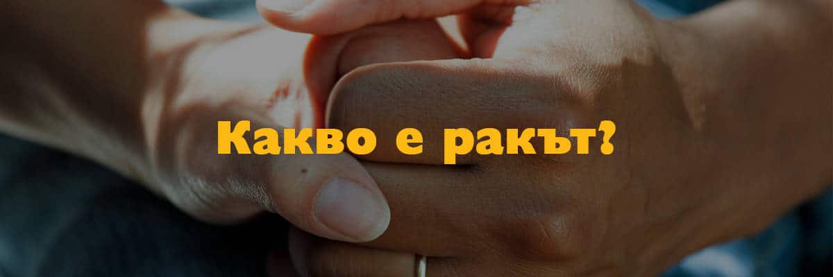 kakvo e rak kakvo e rak