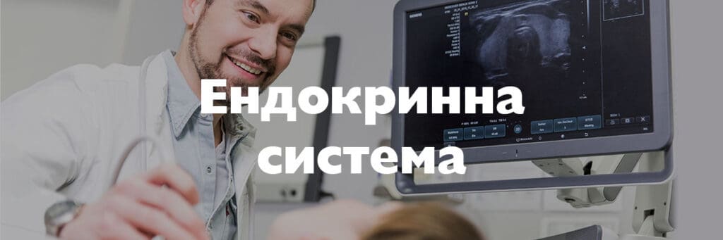 endokrinna sistema