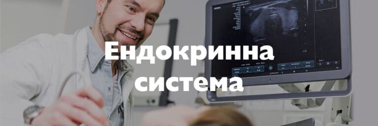 Ендокринна система