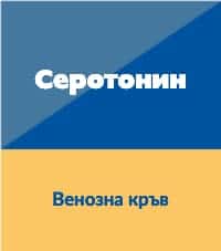 Серотонин