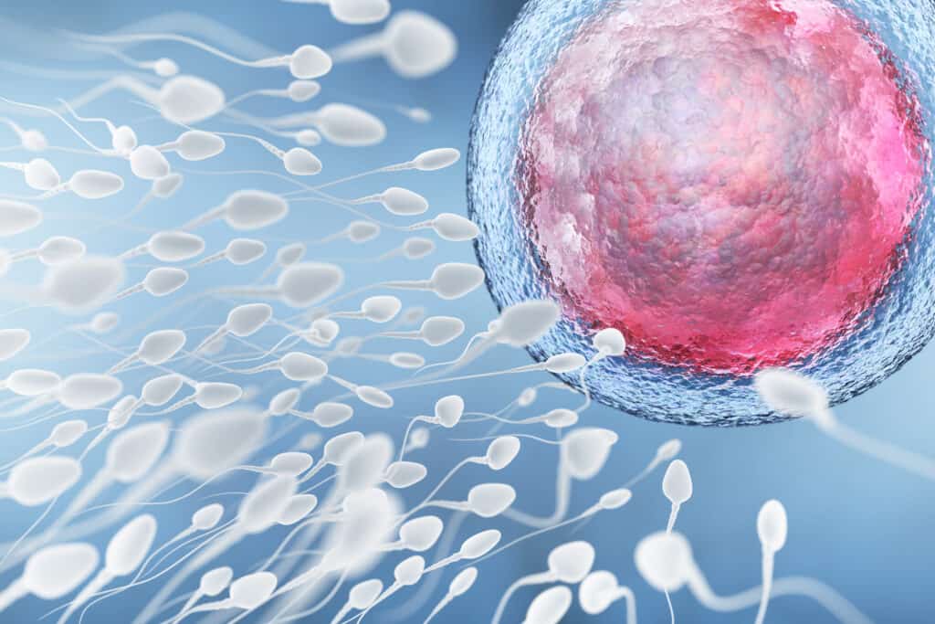 спермограма спермален анализ